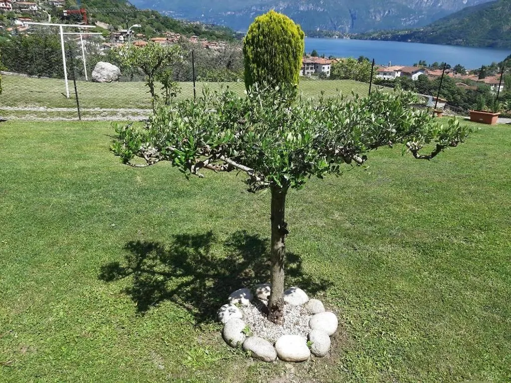 B&B Garzola Apartments Ossuccio